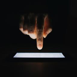 Survey Perspectives on Interdisciplinarity in Engineering Education